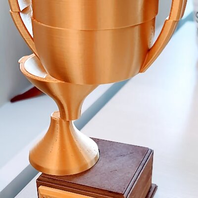 Worlds Best CSS Developer Trophy