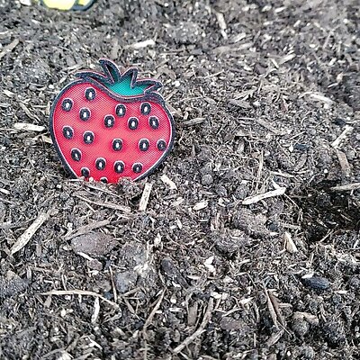 Strawberries 4 color sign for garden no MMU