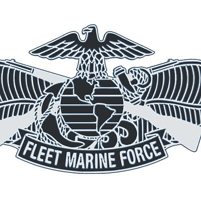 US Navy Fleet Marine Force Pin