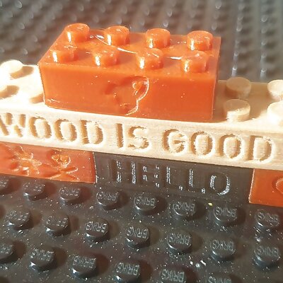 Bricks with engraved text or symbols LEGO compatible