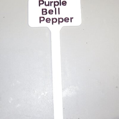 Plant Label Purple Bell Pepper
