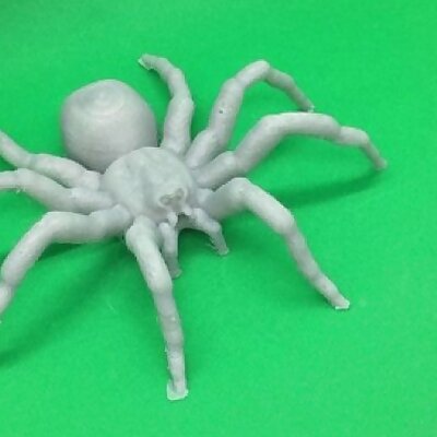 Fake Tarantula