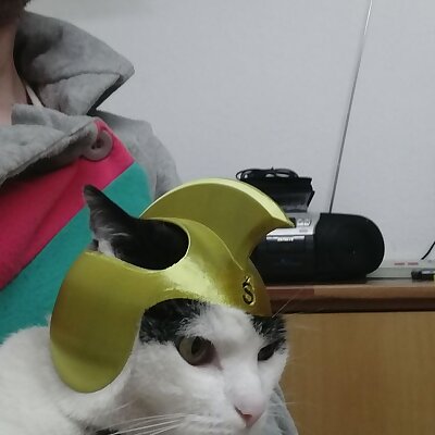 Helma pro kočku