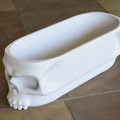 Skull Storage Tray with Lid