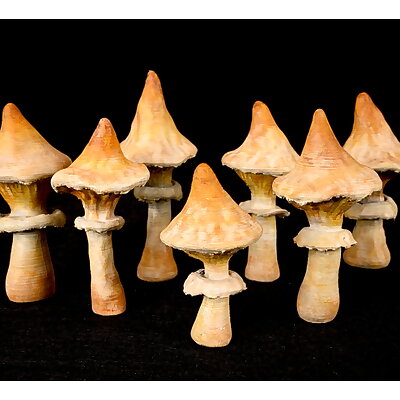 Ubiquitous Mushroom Set 2
