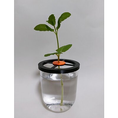 Customizable stem holder for plant propagation in a glass