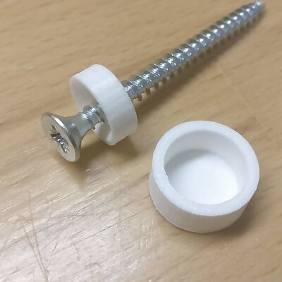 Countersunk screw washer with lid