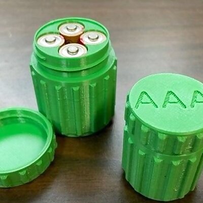 Battery Cases  Screw Top  4 Batteries