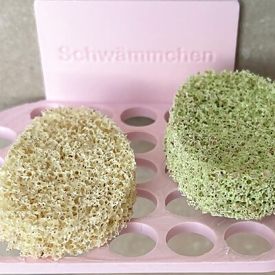 Sponge Tray