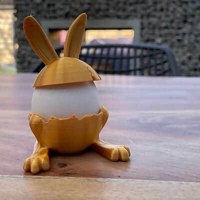 Easter bunny egg holder and hat