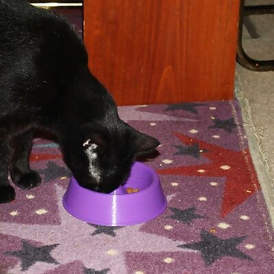 Cat Dish with Portion Control