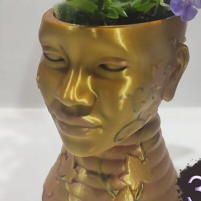 Venus Plant Pot