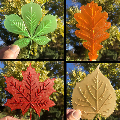 Fall Leaves  4 Leaf collection