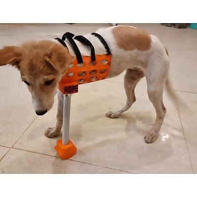 Custom Dog 3D Full Limb Prosthetic with Nub