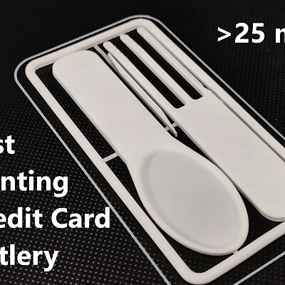 Minimal Fast Printing Credit Card Cutlery