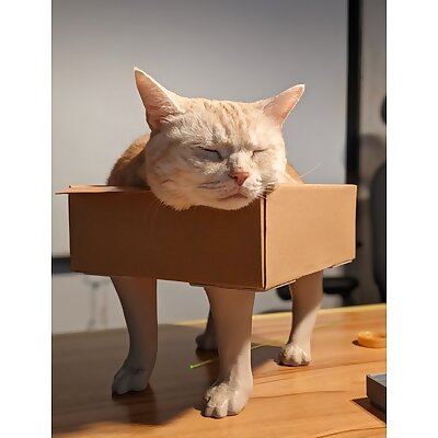 Cat feet for box