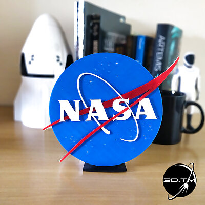 NASA Meatball Insignia
