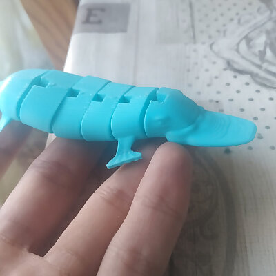 Articulated Platypus Toy