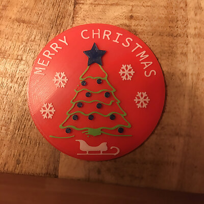 Christmas Coasters with case