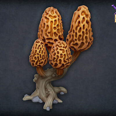 Morel mushroom tree