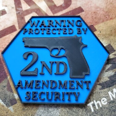 Protected by 2nd amendment 2