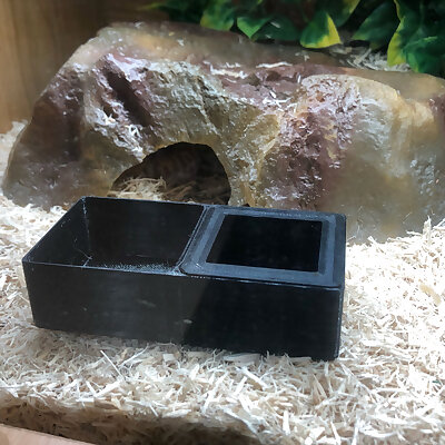 reptile nonescape food pot and water bowl