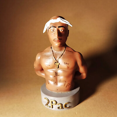 2 Pac Bust