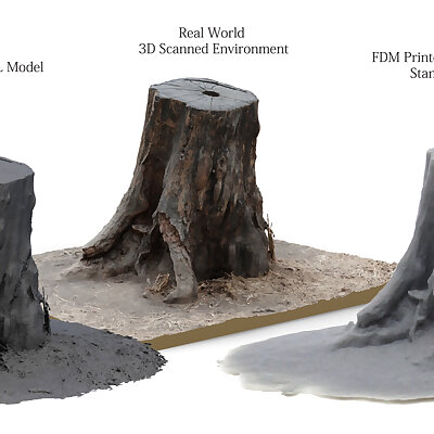 3D Scanned Tree Stump for Tabletop Scatter Terrain
