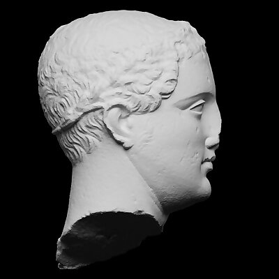 Hellenistic Nobleman Statue Head