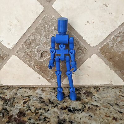 Ball Joint Action Figure