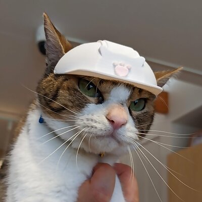 A Hard Hat for Cat