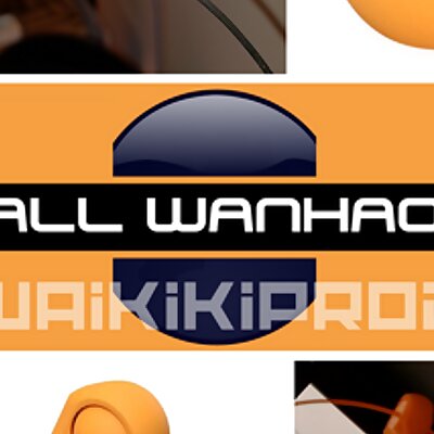 UpBall Wanhao D12  Guide fil  Upgrade