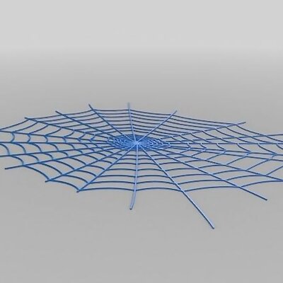 Spider Web decoration