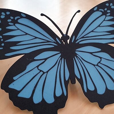 Butterfly MMU  Schmetterling