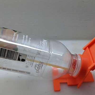 Bottle mouse trap