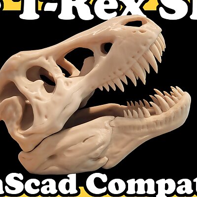 The TRex Skull Openscad Compatible