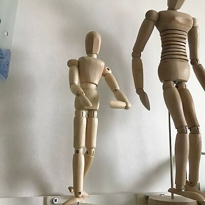 Wooden Human and Arm Mannequin Doll Shelves