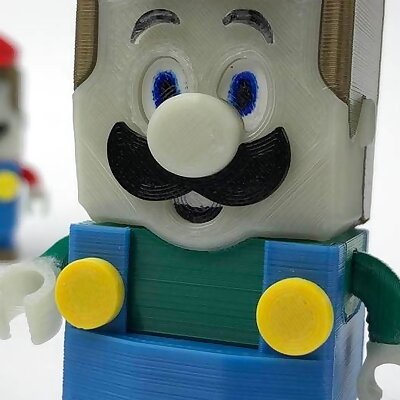 LEGO LUIGI style  Super Mario  complete set