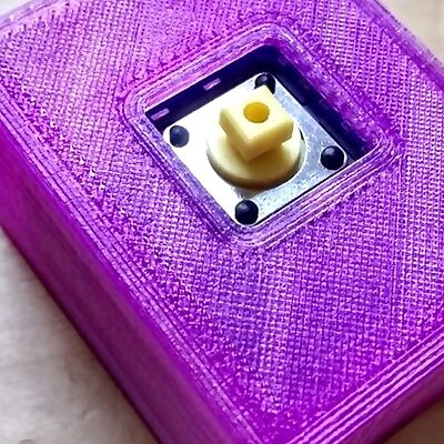 WeMos D1 Mini and button shield case