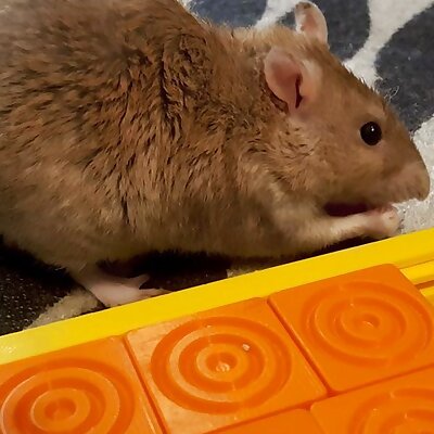 Pet Enrichment Toy Sliding Tiles Puzzle