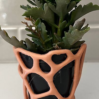 Voronoi flower pot