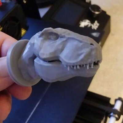 Tyrannosaurus Rex drawer handle