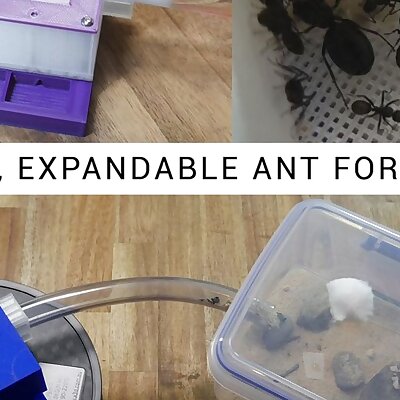 Modular expandable ant formicarium