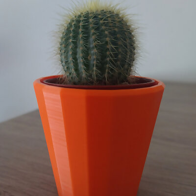 Mini Cactus Pot