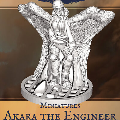 Sky Islands Akara the Engineer