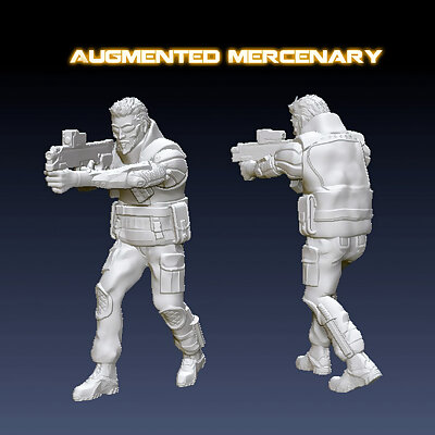 Augmented Mercenary