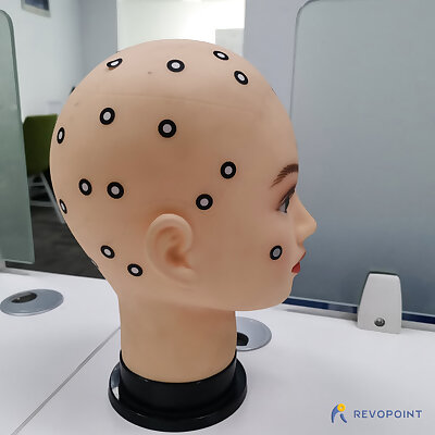 RUBBER HEAD MODEL（GENERATED BY REVOPOINT POP）