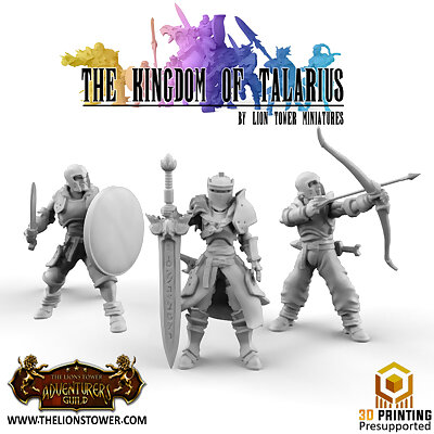 Kingdom of Talarius  Kickstarter Freebie Set 1 presupported