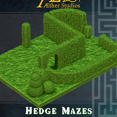 Hedge Maze Starter Set