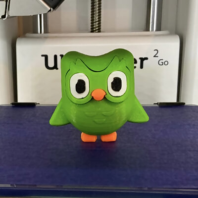 Duo owl from Duolingo App